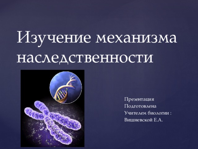 Изучение механизма наследственности. Изучение механизма наследственности 9. Биология изучение механизма наследственности. Механизм биологической наследственности..