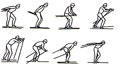 одновременный одношажный коньковый ход. одновременно двухшажный коньковый ход техника. двухшажный коньковый. двухшажный коньковый. попеременный одношажный коньковый ход.