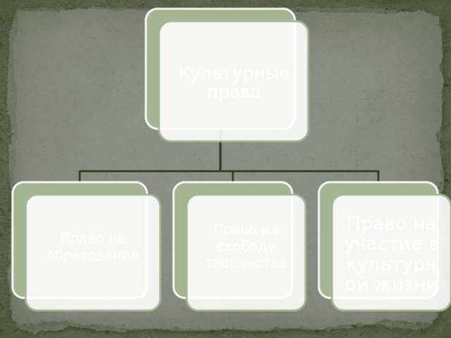 Культурные права Право на образование Право на свободу творчества Право на участие в культурной жизни 