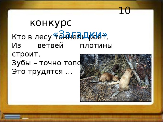  10 конкурс «Загадки» Кто в лесу тоннели роет, Из ветвей плотины строит, Зубы – точно топоры. Это трудятся … 