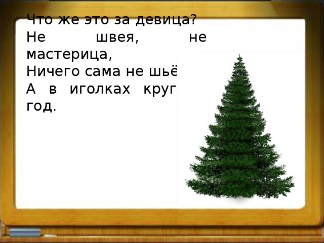 Что же это за девица? Не швея, не мастерица, Ничего сама не шьёт, А в иголках круглый год. 
