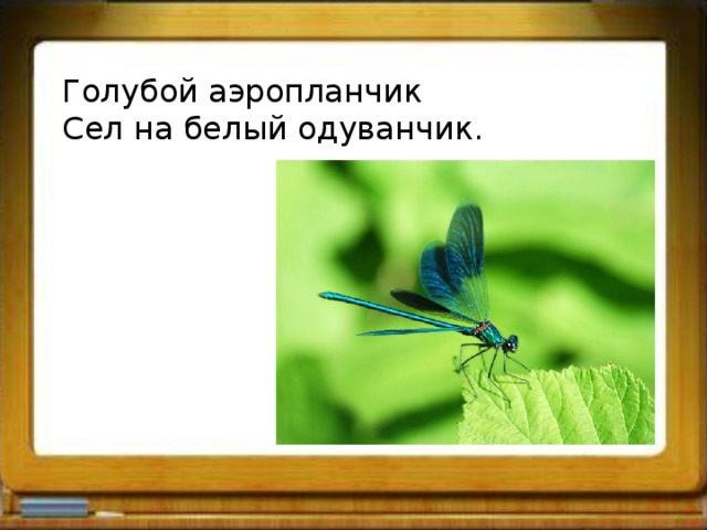 Голубой аэропланчик Сел на белый одуванчик. 