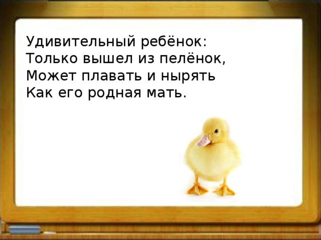 Удивительный ребёнок: Только вышел из пелёнок, Может плавать и нырять Как его родная мать. 