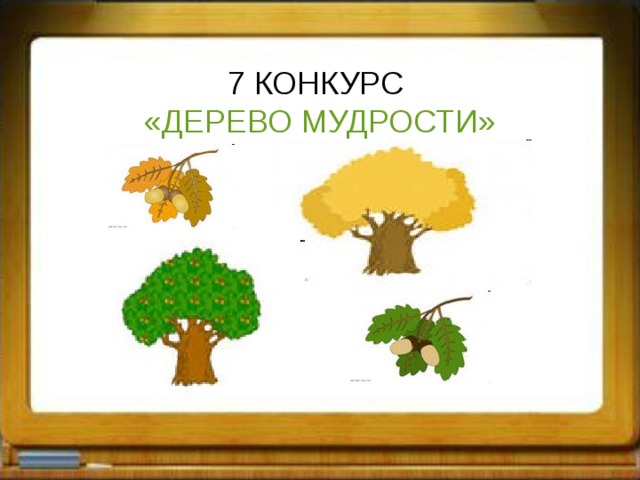 7 КОНКУРС «ДЕРЕВО МУДРОСТИ» 