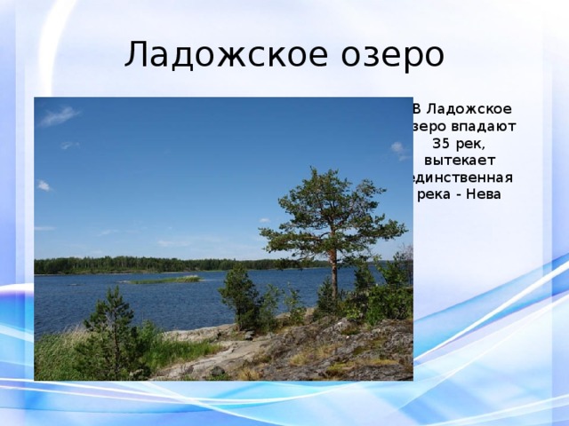 Ладожское озеро В Ладожское озеро впадают 35 рек, вытекает единственная река - Нева 