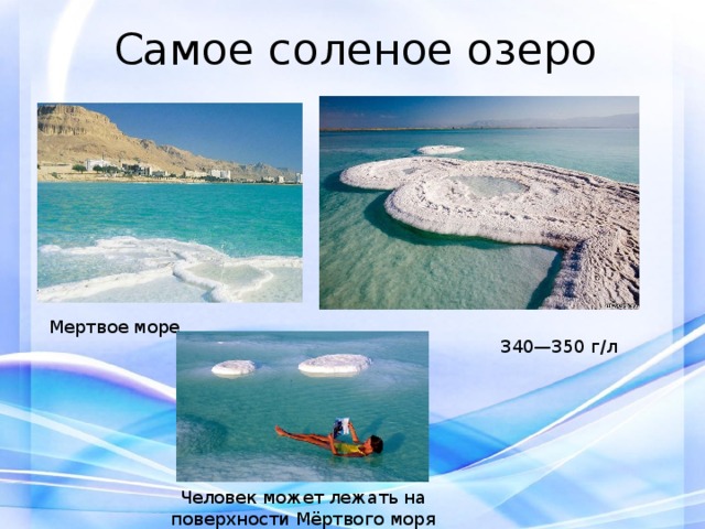 Самое соленое озеро Мертвое море 340—350 г/л Человек может лежать на поверхности Мёртвого моря 