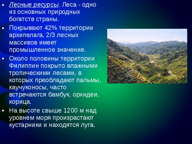 Лесные ресурсы . Леса - одно из основных природных богатств страны. Покрывают 42% территории архипелага, 2/3 лесных массивов имеет промышленное значение. Около половины территории Филиппин покрыто влажными тропическими лесами, в которых преобладают пальмы, каучуконосы, часто встречаются бамбук, орхидеи, корица. На высоте свыше 1200 м над уровнем моря произрастают кустарники и находятся луга.  