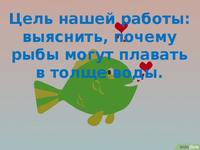 Цель нашей работы: выяснить, почему рыбы могут плавать в толще воды. 