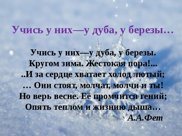 Учись у них—у дуба, у березы… Учись у них—у дуба, у березы. Кругом зима. Жестокая пора!... ..И за сердце хватает холод лютый; …  Они стоят, молчат, молчи и ты! Но верь весне. Её промчится гений; Опять теплом и жизнию дыша…  А.А.Фет 