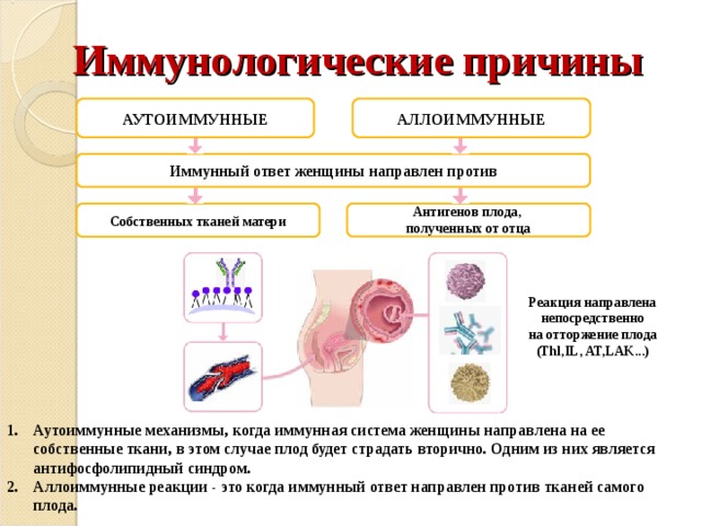 Иммунологические причины АУТОИММУННЫЕ АЛЛОИММУННЫЕ Иммунный ответ женщины направлен против  Антигенов плода, полученных от отца   Собственных тканей матери  Реакция направлена непосредственно на отторжение плода (Thl,IL, AT,LAK...) Аутоиммунные механизмы, когда иммунная система женщины направлена на ее собственные ткани, в этом случае плод будет страдать вторично. Одним из них является антифосфолипидный синдром. Аллоиммунные реакции - это когда иммунный ответ направлен против тканей самого плода.  