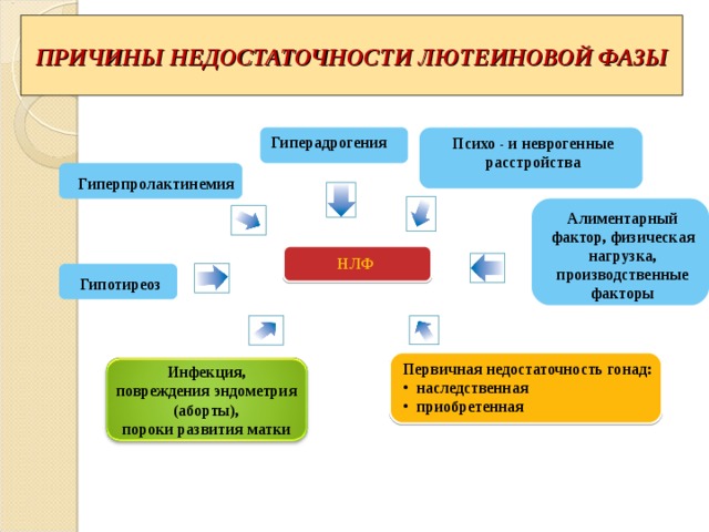 ПРИЧИНЫ НЕДОСТАТОЧНОСТИ ЛЮТЕИНОВОЙ ФАЗЫ Гиперадрогения Психо  - и неврогенные расстройства Гиперпролактинемия Алиментарный фактор, физическ ая нагрузк а , производственные факторы НЛФ Гипотиреоз Первичная недостаточность гонад: наследственная приобретенная Инфекция , п овреждения эндометрия (аборты) , п ороки развития матки 