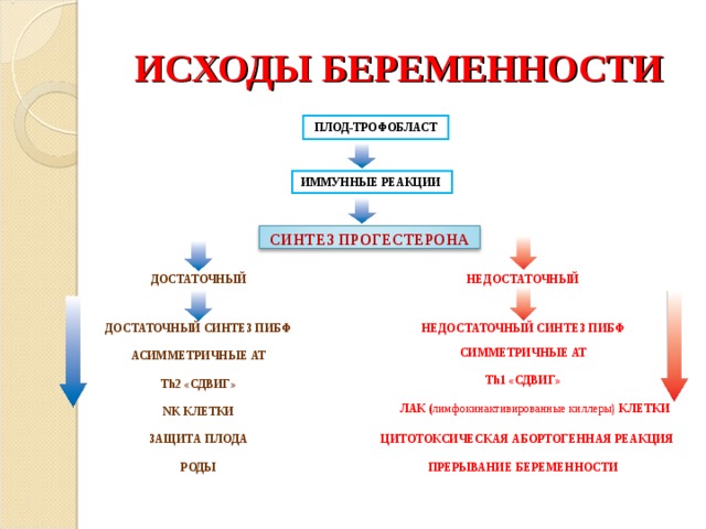 ИСХОДЫ БЕРЕМЕННОСТИ ПЛОД-ТРОФОБЛАСТ ИММУННЫЕ РЕАКЦИИ СИНТЕЗ ПРОГЕСТЕРОНА НЕДОСТАТОЧНЫЙ ДОСТАТОЧНЫЙ НЕДОСТАТОЧНЫЙ СИНТЕЗ ПИБФ ДОСТАТОЧНЫЙ СИНТЕЗ ПИБФ СИММЕТРИЧНЫЕ АТ  АСИММЕТРИЧНЫЕ АТ Т h 1 «СДВИГ» Т h 2 «СДВИГ» ЛАК ( лимфокинактивированные киллеры)  КЛЕТКИ NK КЛЕТКИ ЗАЩИТА ПЛОДА ЦИТОТОКСИЧЕСКАЯ АБОРТОГЕННАЯ РЕАКЦИЯ РОДЫ ПРЕРЫВАНИЕ БЕРЕМЕННОСТИ 