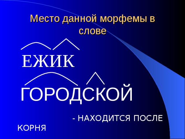 Место данной морфемы в слове ЕЖИК ГОРОДСКОЙ  - НАХОДИТСЯ ПОСЛЕ КОРНЯ 