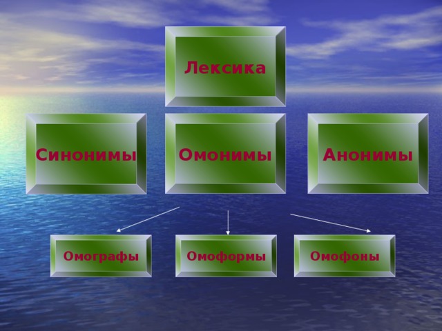 Лексика синоним. Лексика синонимы омонимы. Омонимы паронимы омографы омофоны. Синоним омографа.