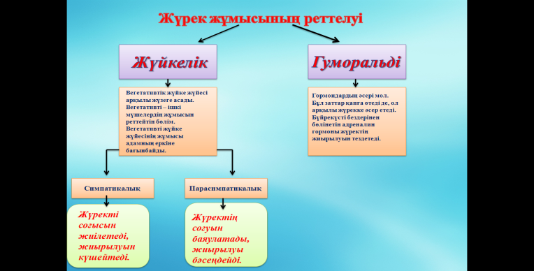 Ішкі мүшелер жұмысының жүйкелік реттелуі. Жүйкелік реттелу. Жүйкелік реттелу гуморальды реттелу. Нейрогуморальды реттелуі. Жүйке жүйесі презентация.