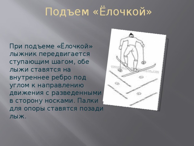 Где ошибка в технике подъема елочкой. Подъем ступающим шагом на лыжах. При подъеме "елочкой". Подъем елочкой. Техника подъема елочкой.