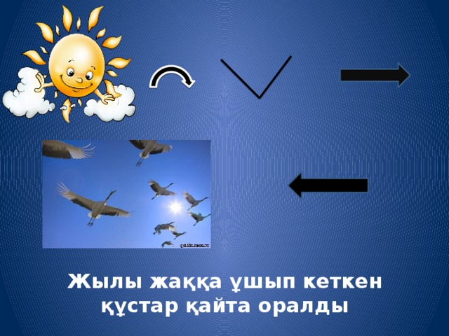 Жылы жаққа ұшып кеткен құстар қайта оралды 