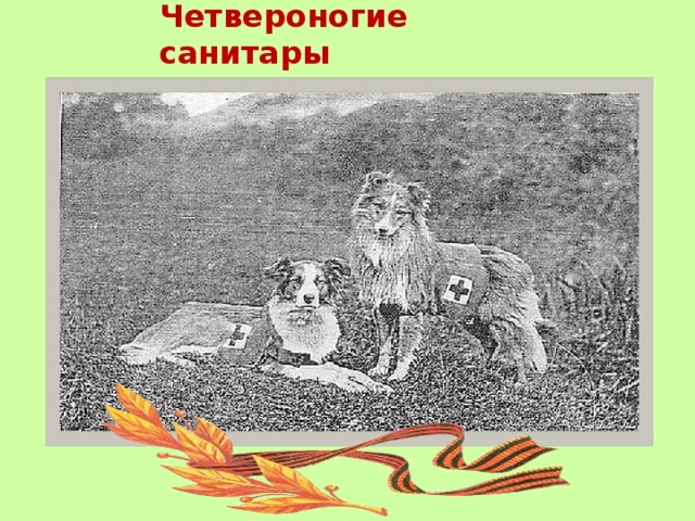 Четвероногие санитары 