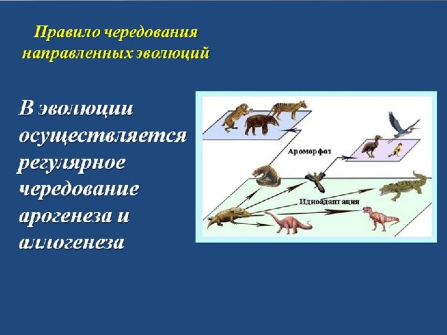 Презентация на тему "Мезозойская эра и развитие животного мира" - скачать беспла