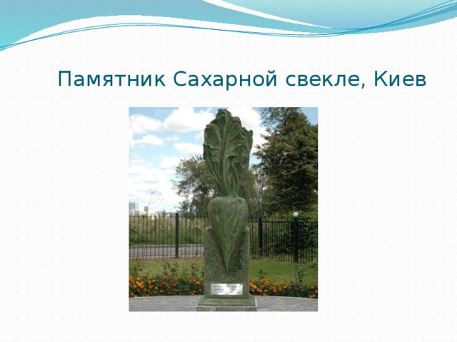  Памятник Сахарной свекле, Киев 
