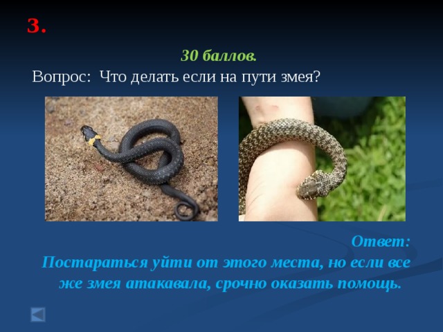 3.   30 баллов. Вопрос: Что делать если на пути змея?       Ответ: Постараться уйти от этого места, но если все же змея атакавала, срочно оказать помощь. 