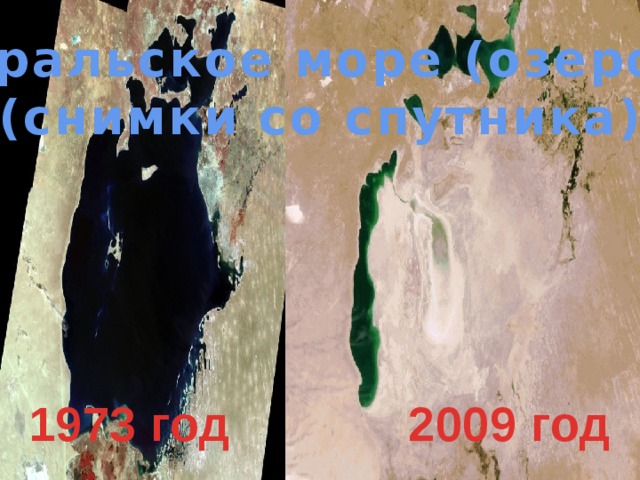 Аральское море (озеро) (снимки со спутника) 1973 год 2009 год 2/19/18 3 2/19/18 3 