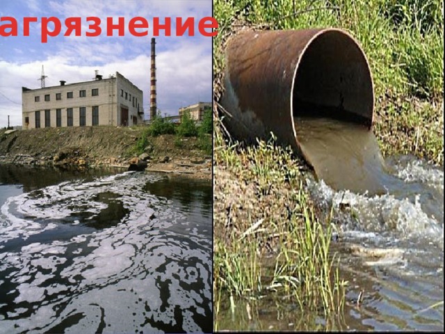 загрязнение 2/19/18 3 