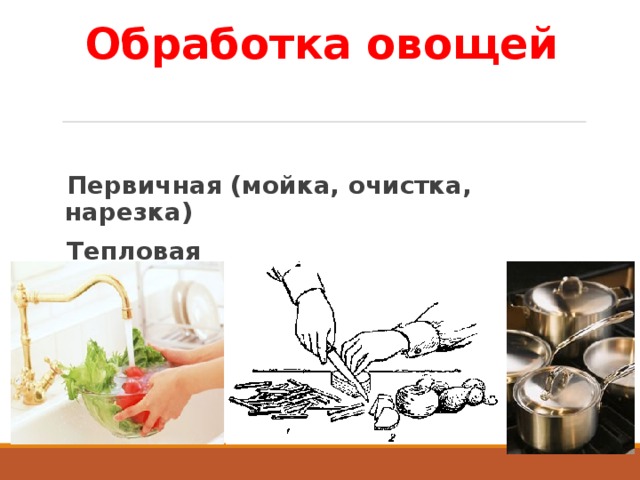 Обработка овощей   Первичная (мойка, очистка, нарезка) Тепловая  