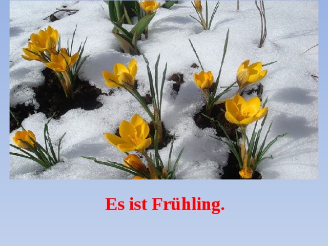 Es ist Frühling. 