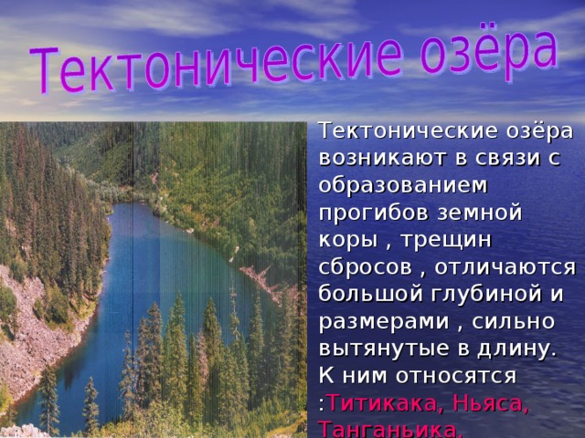 Тектонические озёра возникают в связи с образованием прогибов земной коры , трещин сбросов , отличаются большой глубиной и размерами , сильно вытянутые в длину. К ним относятся : Титикака, Ньяса, Танганьика, Байкал ,Амут и др. 