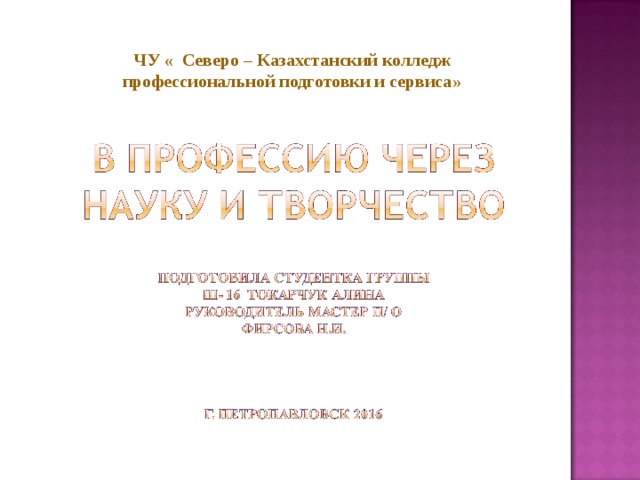 ЧУ « Северо – Казахстанский колледж профессиональной подготовки и сервиса» 