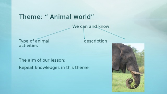 Theme: “ Animal world”  We can and know Type of animal description activities The aim of our lesson: Repeat knowledges in this theme 
