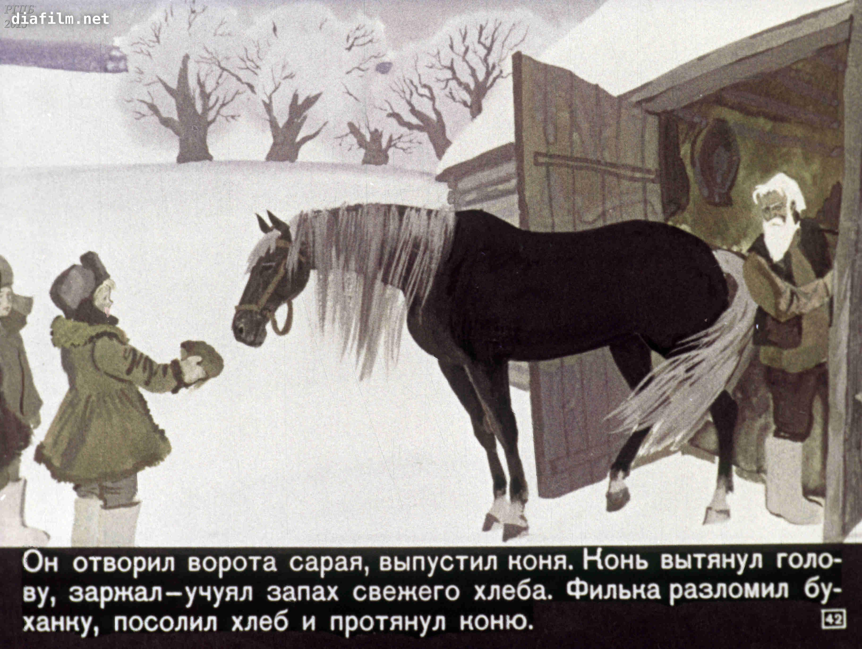 Кто не смог взять себе раненого коня. Иллюстрации к рассказу теплый хлеб Паустовский. Иллюстрации к сказке Паустовского теплый хлеб.