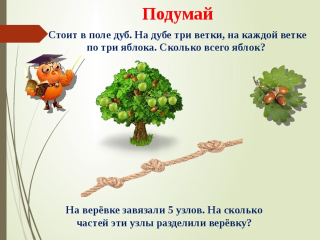 Подумай Стоит в поле дуб. На дубе три ветки, на каждой ветке по три яблока. Сколько всего яблок? На верёвке завязали 5 узлов. На сколько частей эти узлы разделили верёвку? 