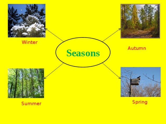 Seasons  Winter  Autumn  Spring  Summer 