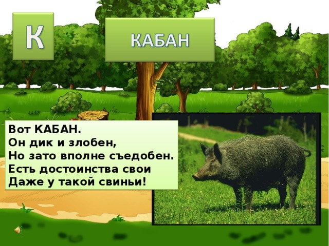 Вот КАБАН. Он дик и злобен, Но зато вполне съедобен. Есть достоинства свои Даже у такой свиньи! 