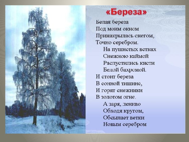 Загадка. Русская красавица Стоит на поляне В зелёной кофточке, В белом сарафане. 