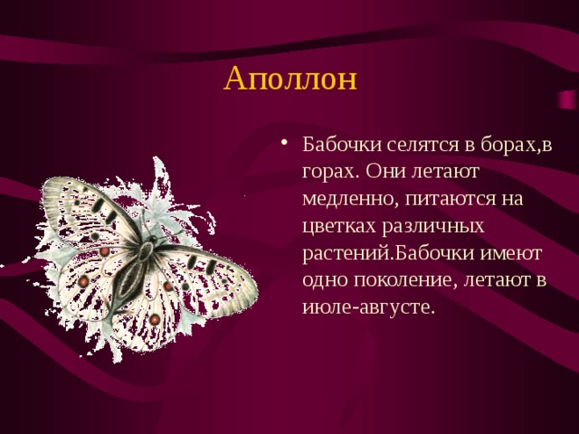 Аполлон Бабочки селятся в борах,в горах.  Они летают медленно, питаются на цветках различных растений.Бабочки имеют одно поколение,  летают в июле-августе. 