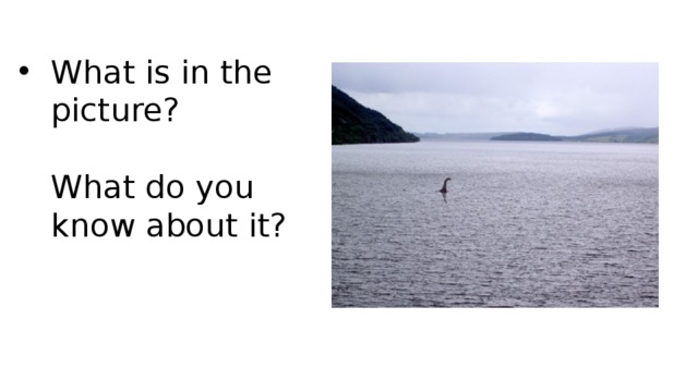 What is in the picture?   What do you know about it?    