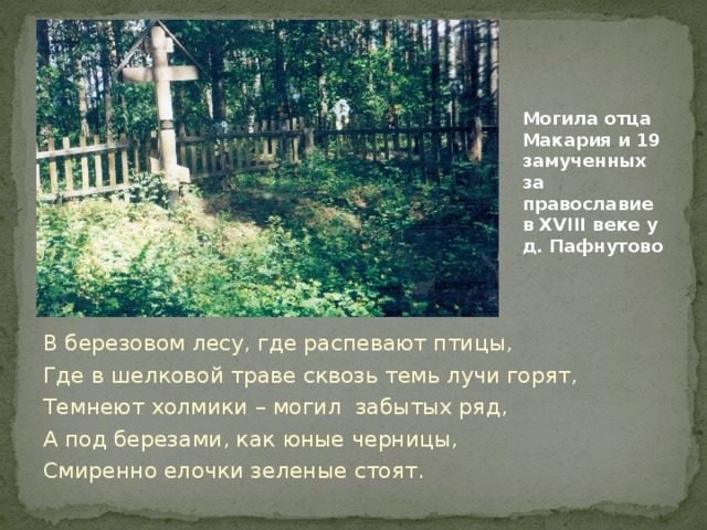 Могила отца Макария и 19 замученных за православие в ХVIII веке у д. Пафнутово В березовом лесу, где распевают птицы, Где в шелковой траве сквозь темь лучи горят, Темнеют холмики – могил забытых ряд, А под березами, как юные черницы, Смиренно елочки зеленые стоят. 