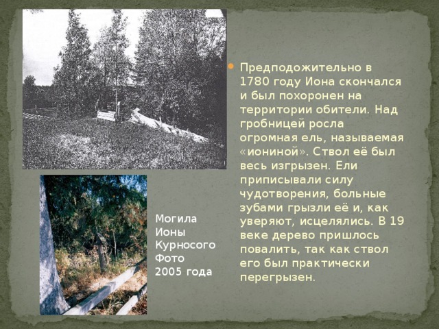 Предподожительно в 1780 году Иона скончался и был похоронен на территории обители. Над гробницей росла огромная ель, называемая «иониной». Ствол её был весь изгрызен. Ели приписывали силу чудотворения, больные зубами грызли её и, как уверяют, исцелялись. В 19 веке дерево пришлось повалить, так как ствол его был практически перегрызен. Могила Ионы Курносого Фото 2005 года 