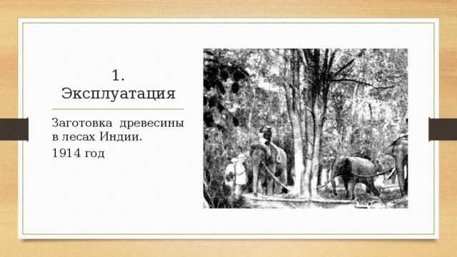 1. Эксплуатация Заготовка древесины в лесах Индии. 1914 год 