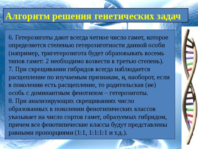Алгоритм решение генетических задач. Задачи на гетерозиготность. тригетерозигота.