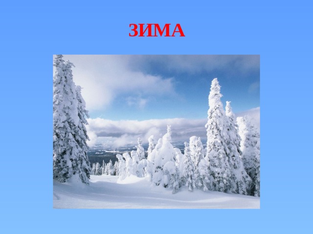 ЗИМА 