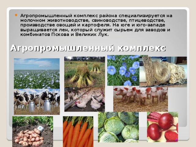 Выращивание зерновых. Экономический район агропромышленного комплекса. Агропромышленный комплекс. Цчр апк специализируется на. Агропромышленный комплекс специализируется на молочном животноводстве бассейн.