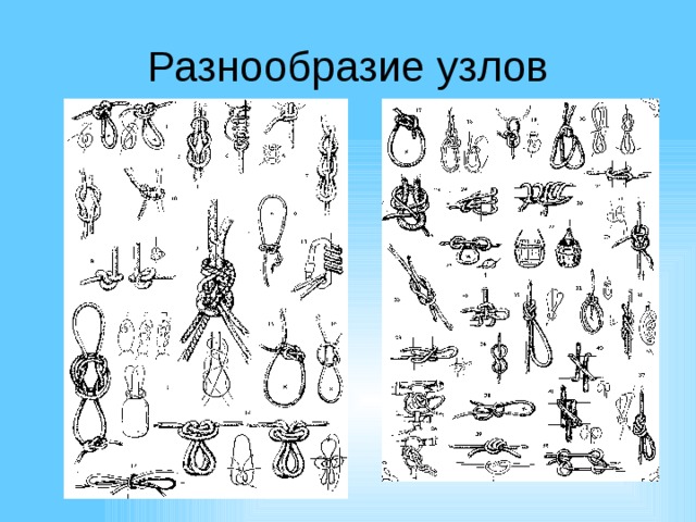 Определенных узлов и частей. Походный узелок рисунок. Разнообразие туристских узлов примеры. 13 Видов узлов рисунки. Определить узлы оборудования.