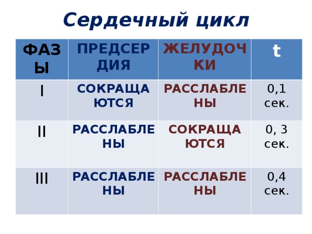 Сердечный цикл ФАЗЫ ПРЕДСЕРДИЯ I ЖЕЛУДОЧКИ СОКРАЩАЮТСЯ II III t РАССЛАБЛЕНЫ РАССЛАБЛЕНЫ  РАССЛАБЛЕНЫ  0,1 сек. СОКРАЩАЮТСЯ  0 , 3 сек. РАССЛАБЛЕНЫ  0,4 сек. 