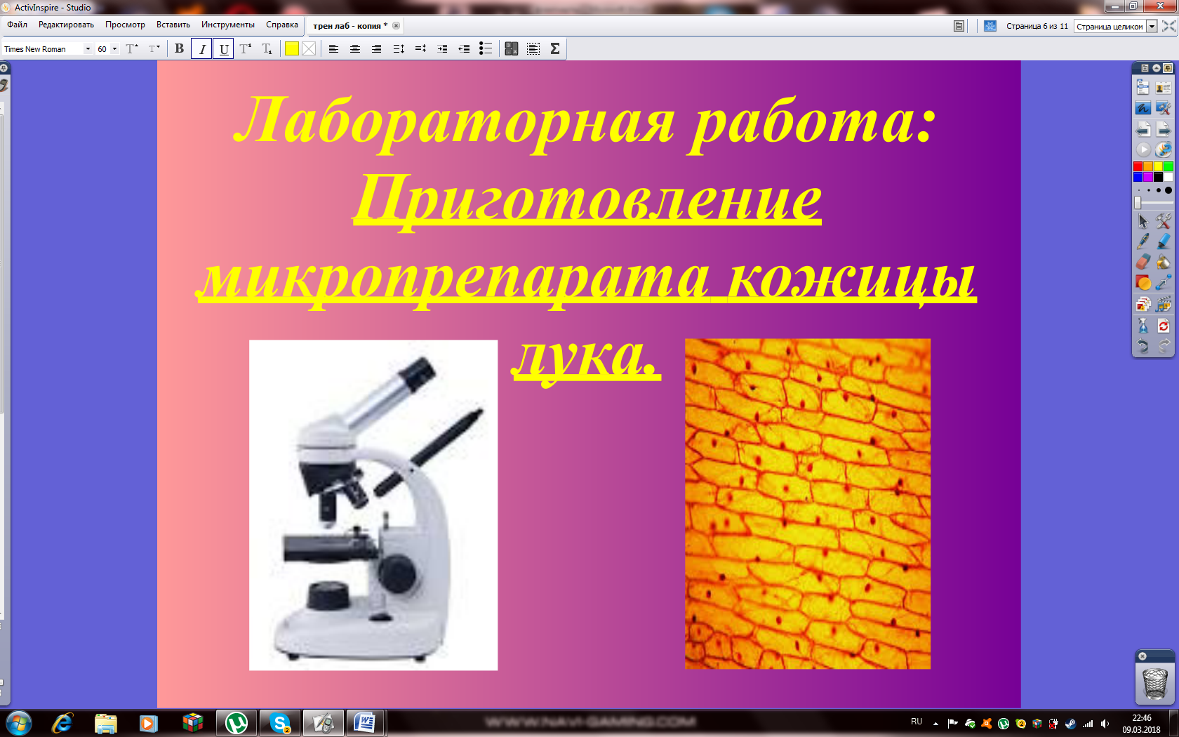 Лабораторная работа с микроскопом. Микропрепарат кожицы лука. Микроскоп и его устройство. Порядок действий при работе с микроскопом и кожицей лука. Микроскоп с описанием частей.