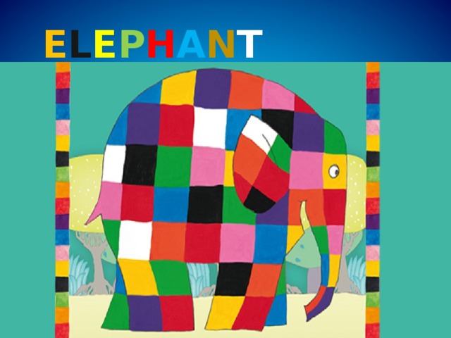  E L E P H A N T  E L M E R 