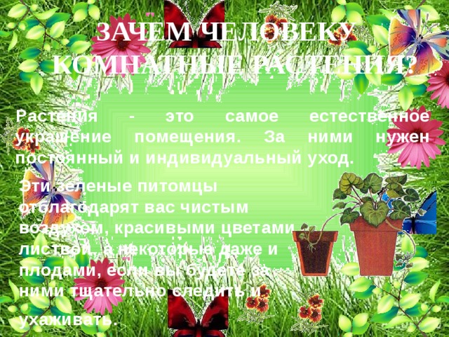 ЗАЧЕМ ЧЕЛОВЕКУ КОМНАТНЫЕ РАСТЕНИЯ? Растения - это самое естественное украшение помещения. За ними нужен постоянный и индивидуальный уход. Эти зеленые питомцы отблагодарят вас чистым воздухом, красивыми цветами, листвой, а некоторые даже и плодами, если вы будете за ними тщательно следить и ухаживать.  